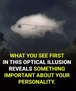 Test: What you see first reveals something important about your personality