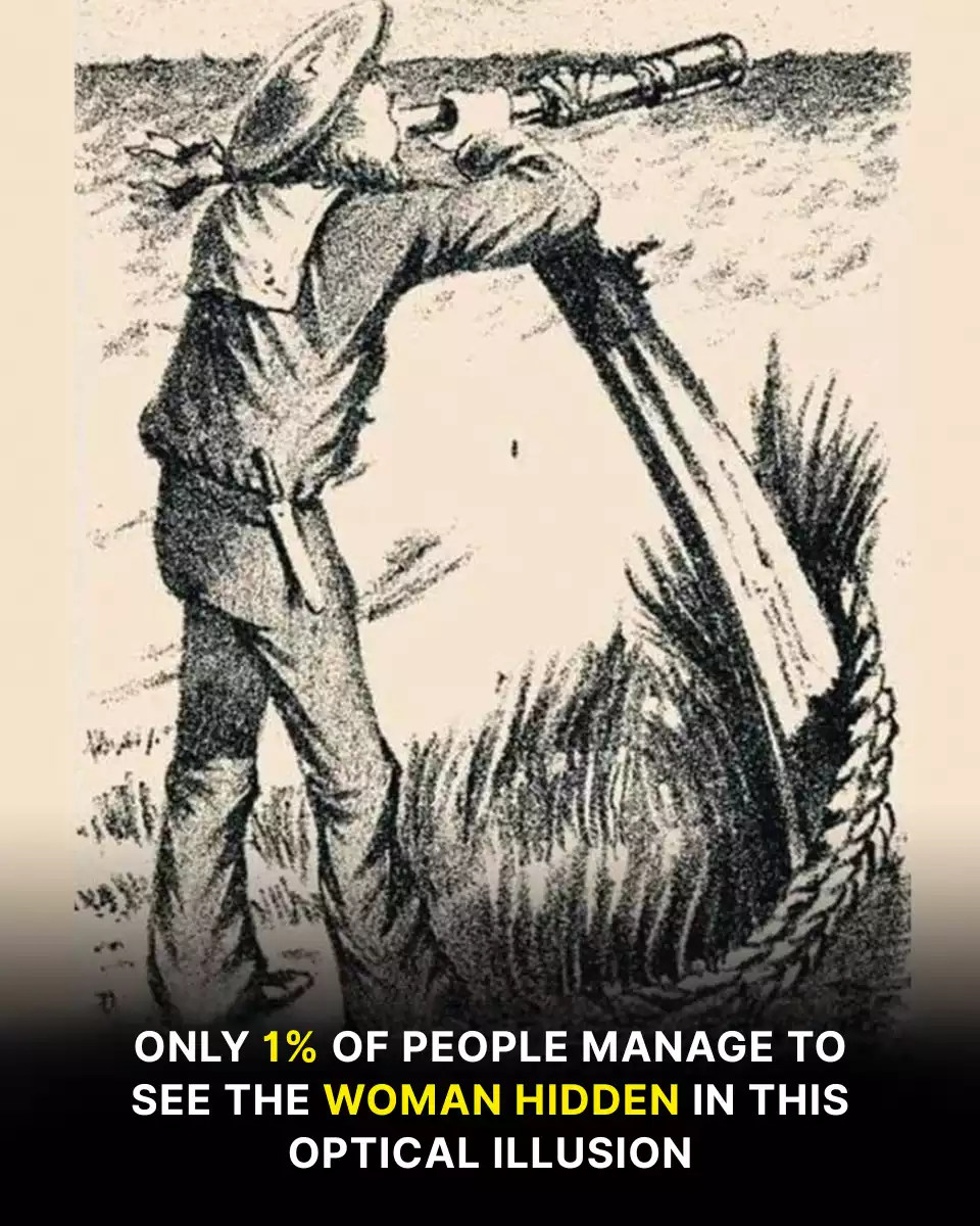 Do you have eagle eyes? Only 1% of people can see the woman hidden in this optical illusion.