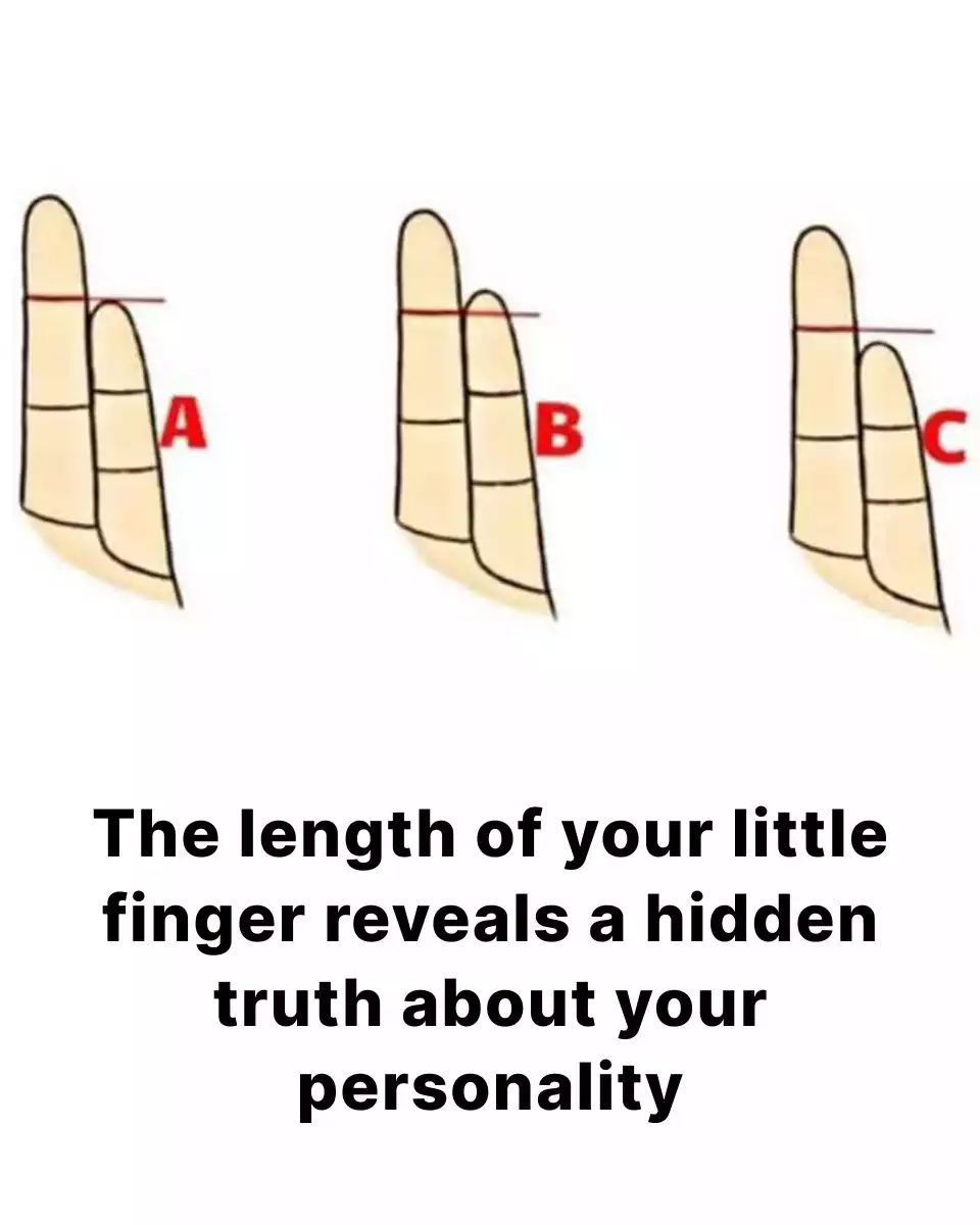 The length of your little finger could reveal unsuspected aspects of your personality